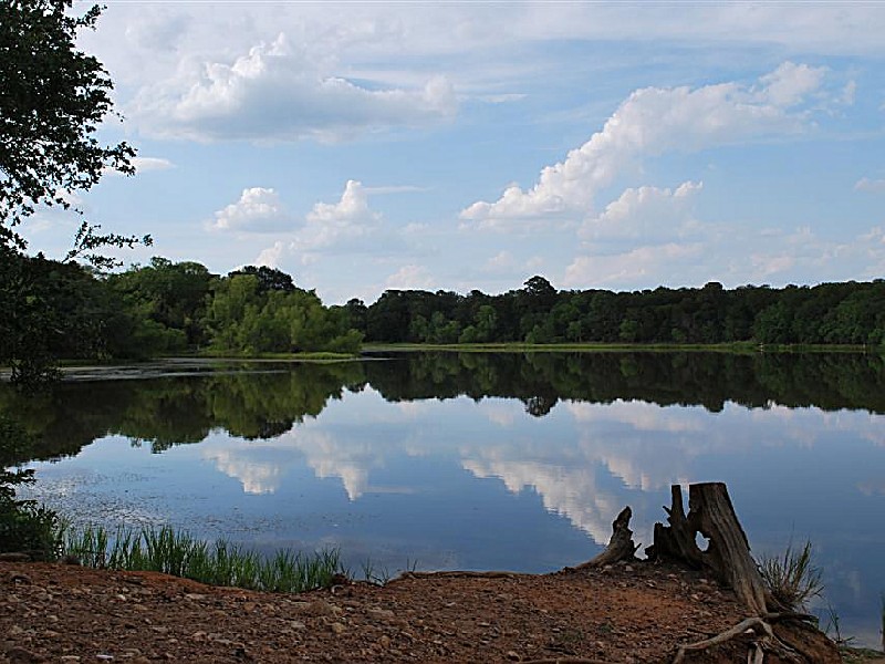 01/26-01/27/19 Intro to Camping - Buescher State Park